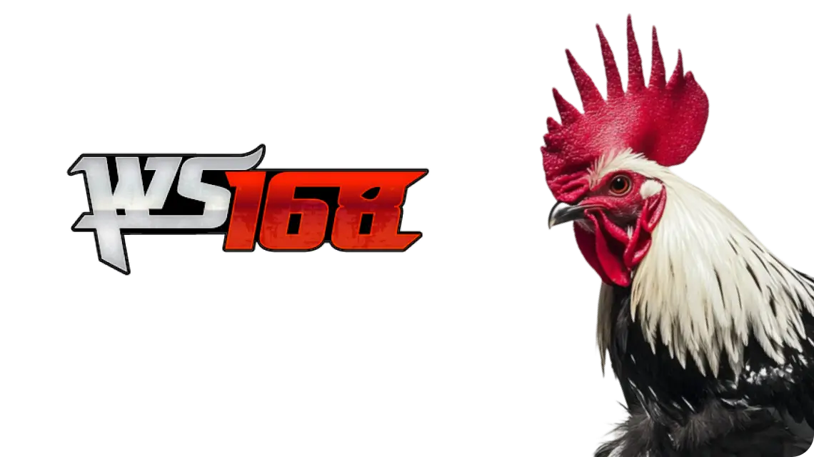 iconhot888hp (3)